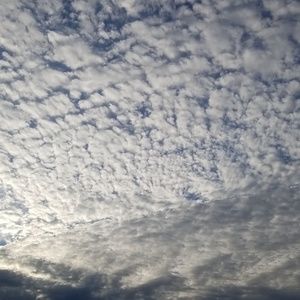 Meet your Posher, Ava